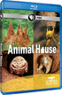 Nature: The Animal House (Blu-ray Movie)