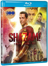 Shazam! Fury of the Gods (Blu-ray Movie)