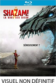 Shazam! Fury of the Gods [Blu-ray] [2023] [Region  