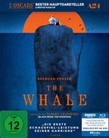 The Whale 4K (Blu-ray Movie)