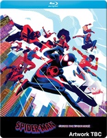 Spider-Man: Across the Spider-Verse (Blu-ray Movie), temporary cover art