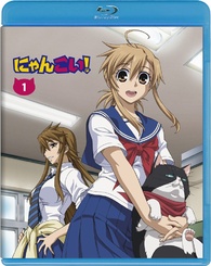 その他 Nyan Koi: Complete Collection [Blu-ray] [Import] 9n2op2j Nyan Koi! Blu-ray-BOX | eBay