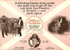 Paths to Paradise (Blu-ray Movie)