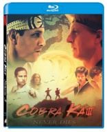 Cobra Kai Season 04 · Cobra Kai Season 4 (DVD) (2022)