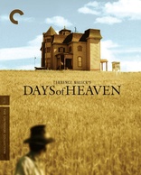 Days of Heaven 4K (Blu-ray Movie)