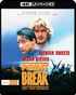 Point Break 4K (Blu-ray Movie)