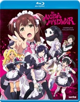 Akiba Maid War - Wikipedia