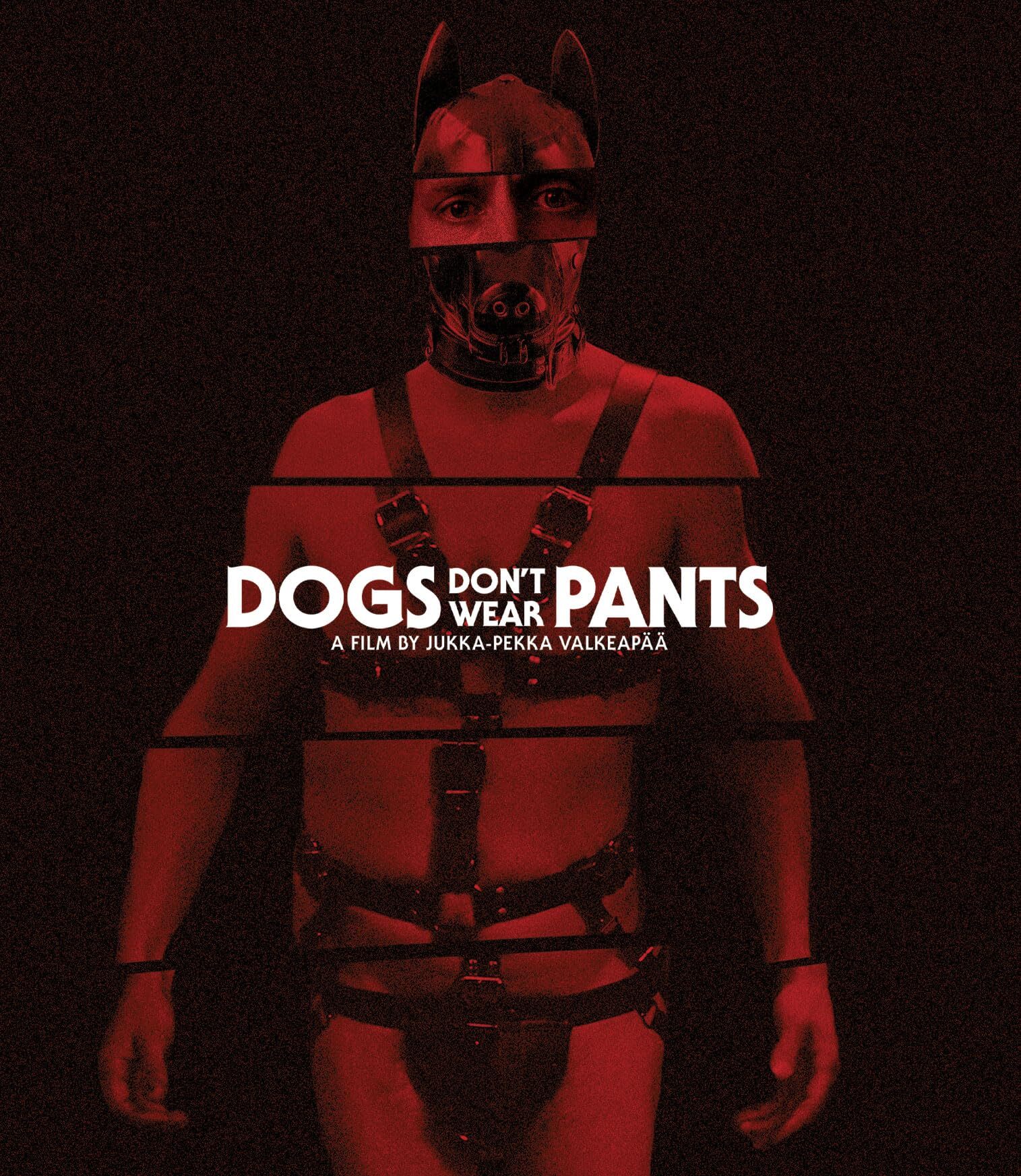 E11 - Dogs Don't Wear Pants - Ardilla Cinéfila (podcast) | Listen Notes