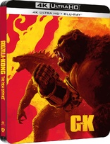 Godzilla x Kong: The New Empire 4K (Blu-ray Movie)