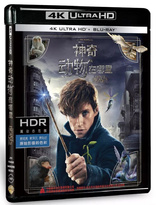 Fantastic Beasts and Where to Find Them 4K (Blu-ray Movie)