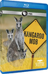 Nature: Kangaroo Mob (Blu-ray Movie)