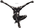 Seal: Seal II (Blu-ray Movie) Seal: Seal II (Blu-ray Movie)