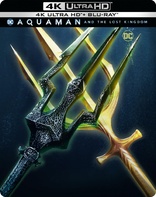 Aquaman and the Lost Kingdom 4K (Blu-ray Movie)