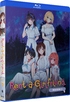 Rent-A-Girlfriend: Season 3 (Blu-ray)