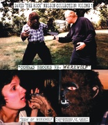 David "The Rock" Nelson Collection: Volume 1 (Blu-ray Movie)