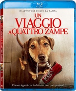 A Dog's Way Home (Blu-ray Movie)