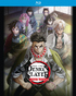 Demon Slayer: Kimetsu No Yaiba Hashira Training Arc (Blu-ray)