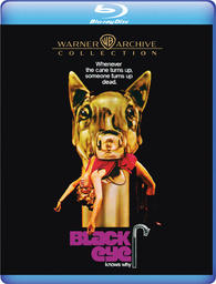 Rocky 6- Fill Collection Discs faulty do not play : r/4kbluray