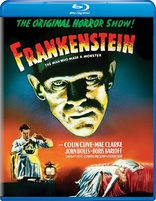 Frankenstein (Blu-ray Movie)
