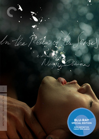 In the Realm of the Senses Blu-ray Release Date April 28, 2009 (Canada)