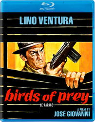 Birds Of Prey