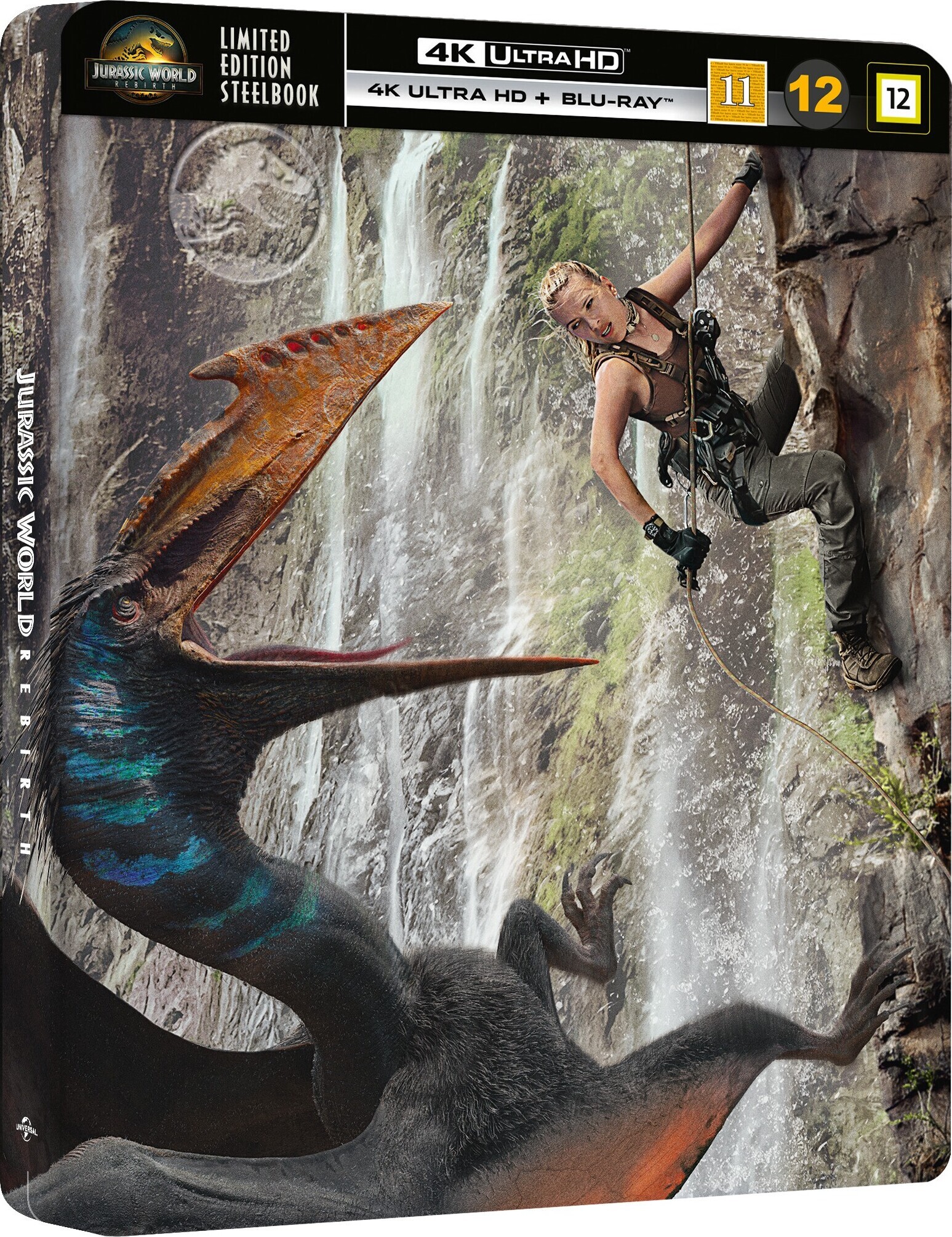 390955_front.jpg?t=1758867272