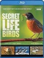 Secret Life of Birds (Blu-ray Movie)