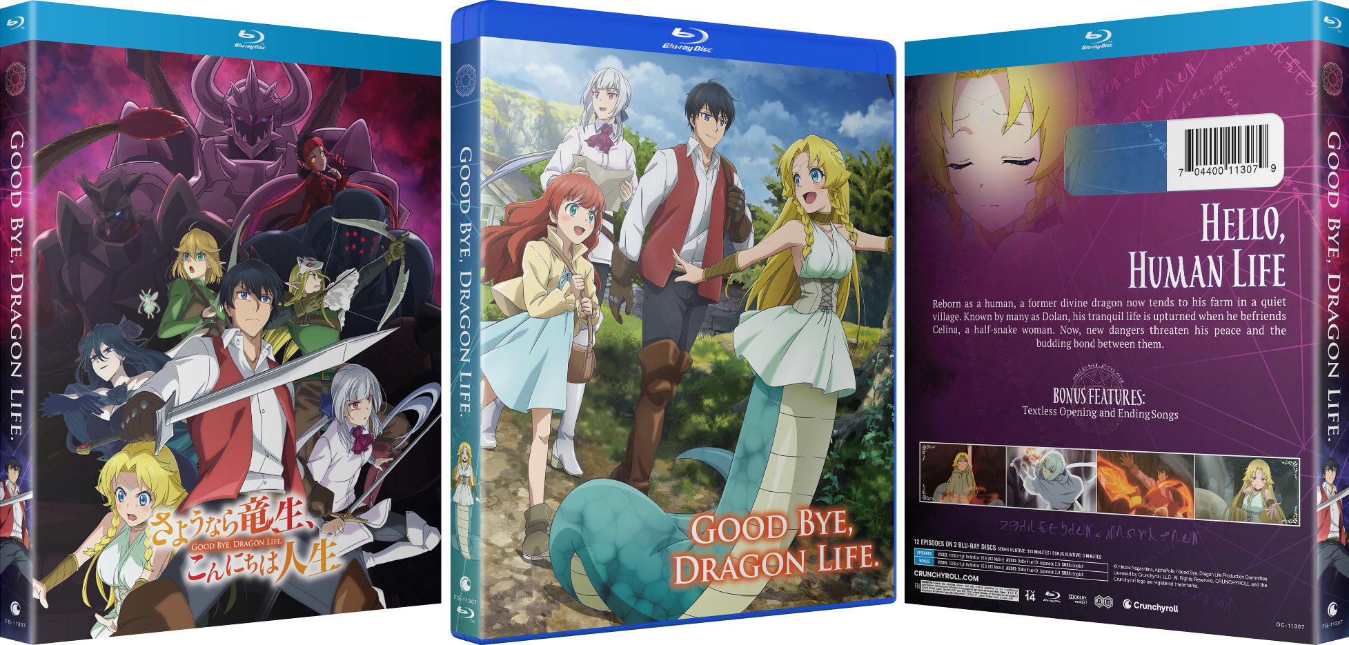 The Good-Bye/VIDEO! THE GOOD-BYE（DVD） Good Bye, Dragon Life Blu-ray (Canada)