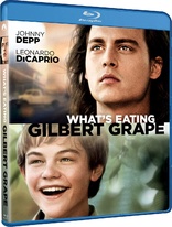 不一样的天空 What's Eating Gilbert Grape