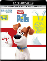 The Secret Life of Pets 4K (Blu-ray Movie)