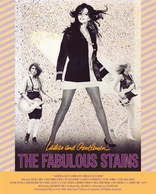 Ladies and Gentlemen, The Fabulous Stains 4K (Blu-ray Movie)