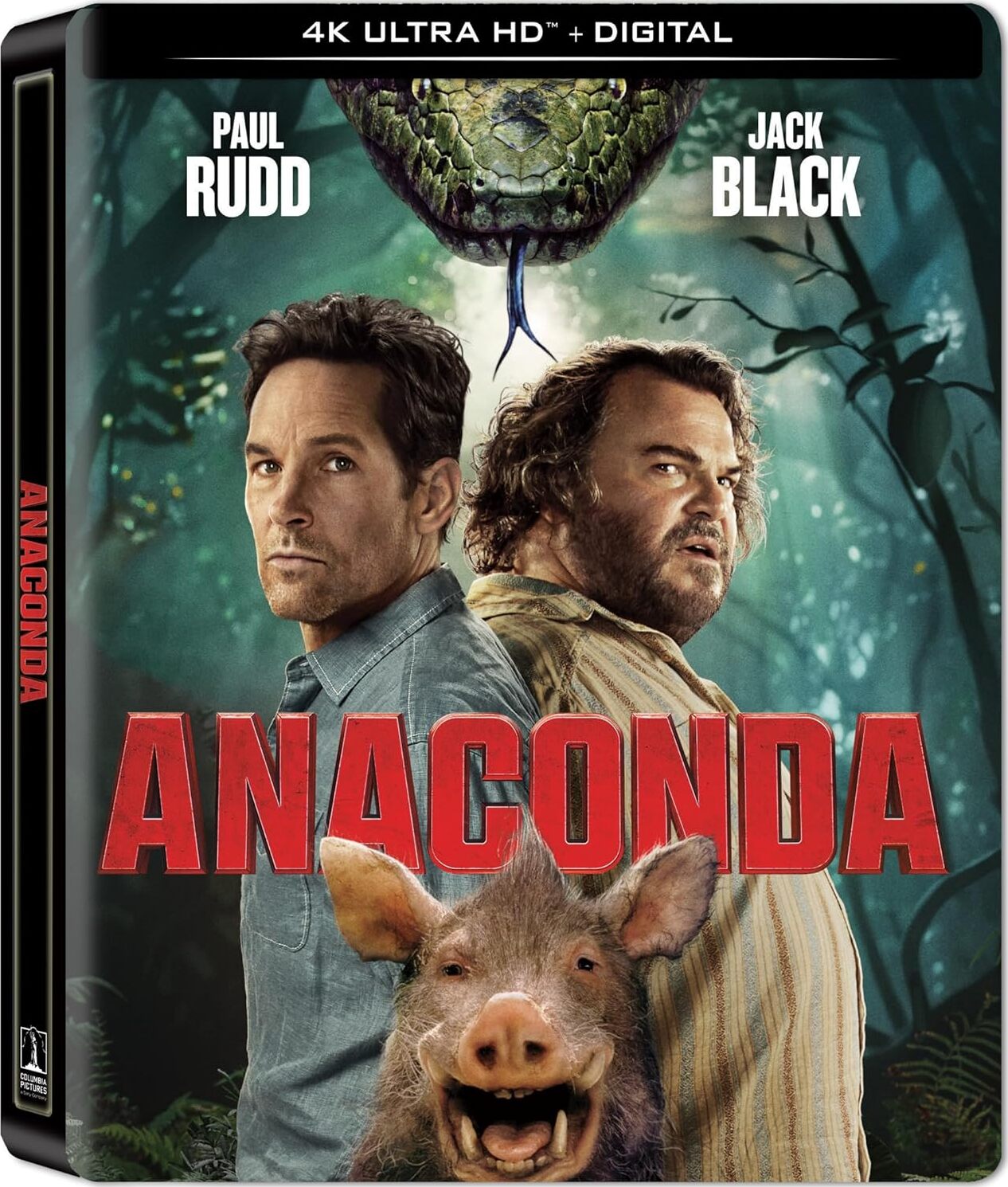 Anaconda