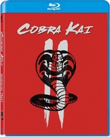 Cobra Kai: Season Two (Blu-ray Movie)