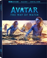 Avatar: The Way of Water 4K (Blu-ray Movie)