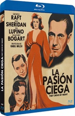 They Drive by Night (Blu-ray Movie)