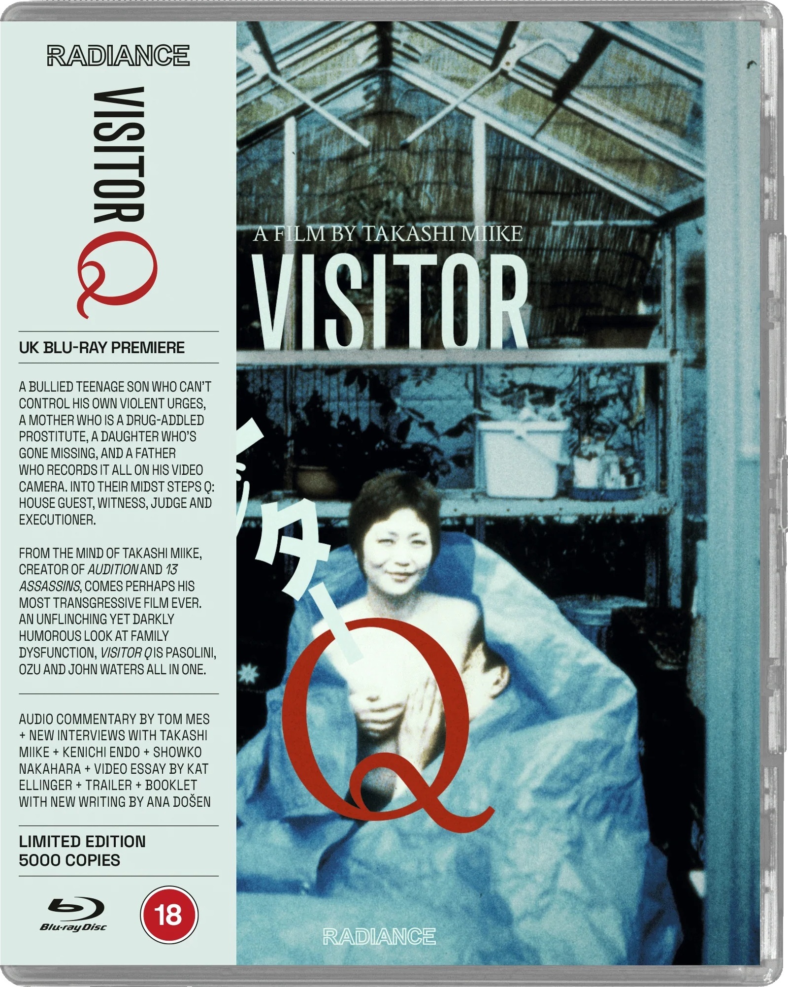 Visitor Q Blu-ray (ビジターQ / Bizhitā Kyū | Limited Edition