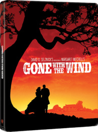 Gone With The Wind