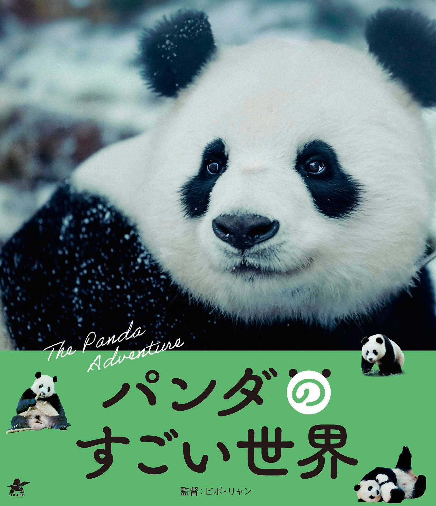 パンダ（Panda） The Panda Adventure Blu-ray (パンダのすごい世界 | Panda: Call of