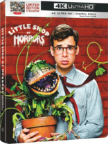 Little Shop of Horrors 4K (Blu-ray Movie), temporary cover art