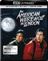 An American Werewolf in London 4K (Blu-ray)