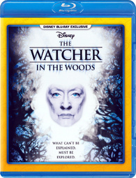 The Watcher in the Woods (film, 2017) 