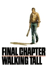 Final Chapter: Walking Tall 4K (Blu-ray Movie)