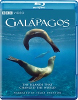 加拉帕戈斯群岛 Galapagos