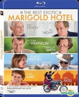 The Best Exotic Marigold Hotel (Blu-ray Movie), temporary cover art