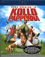 Daddy Day Camp (Blu-ray Movie)