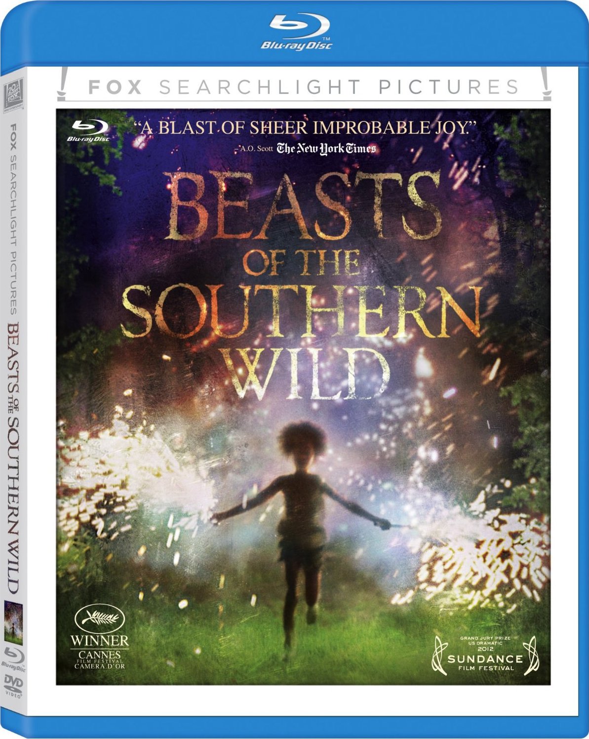 南國野獸/南方野獸樂園(台)/南荒的童話(港) 英語 英簡繁SUP字幕 Beasts of the Southern Wild 2012 BluRay 1080p DTS-HD MA5.1 x265.10bit-BeiTai