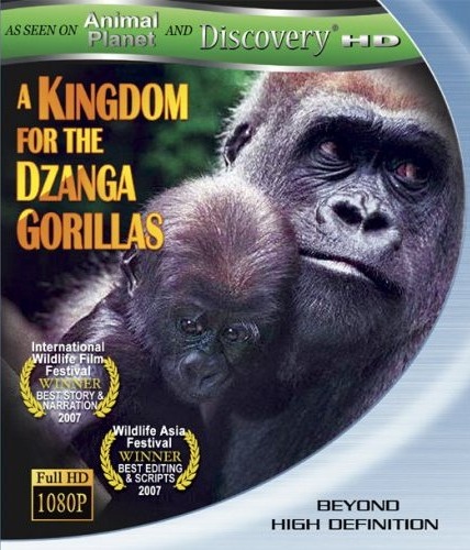 Kingdom For The Dzanga Gorillas (Blu-ray) - Walmart.com