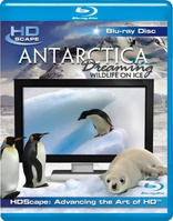 演示片 HDScape Antarctica Dreaming