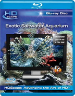演示片 HDScape Exotic Saltwater Aquarium