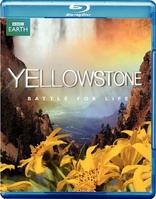 BBC：黄石 Yellowstone